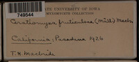 Image Associated With the Occurence